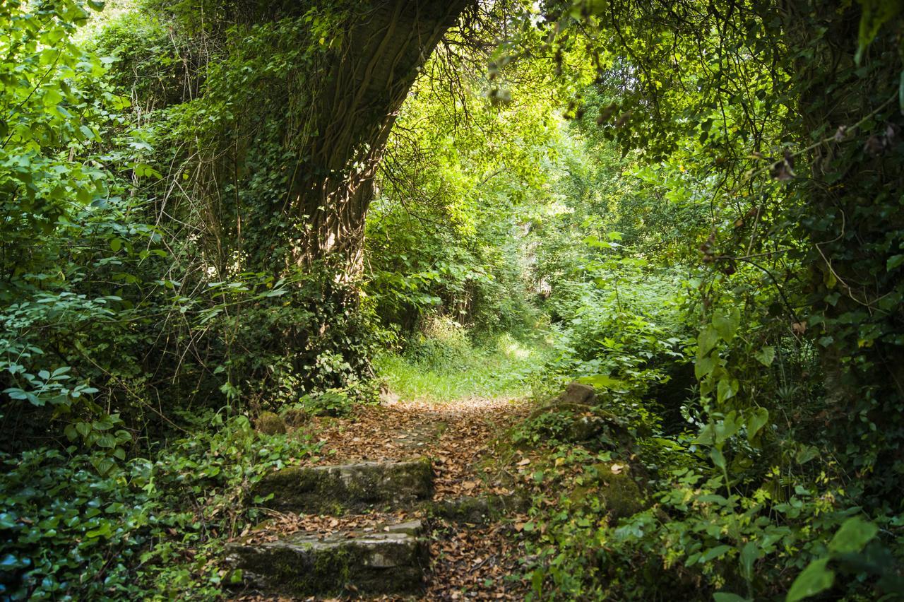 Secret Gardens Bed & Breakfast Borgomaro Exterior foto